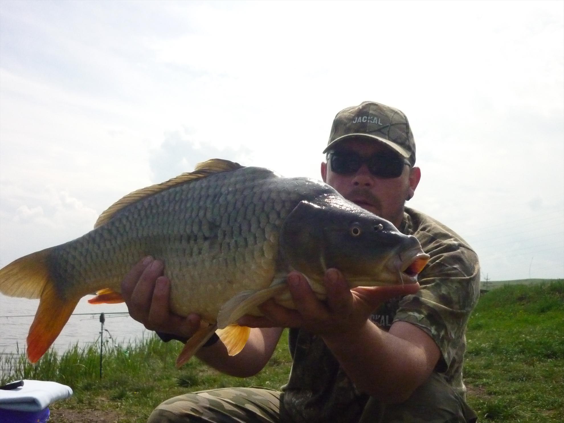 Stejeris 2011 - p1020008.JPG